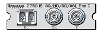 ENSEMBLE DESIGN Avenue 3G/HD/SD/ASI Electrical to Optical Converte