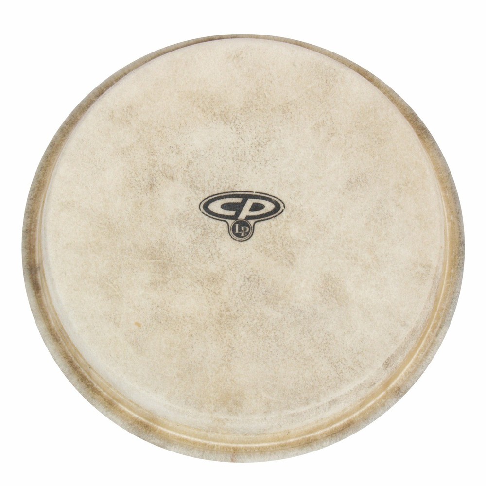LATIN PERCUSSION SMALL MOUNTED HEAD