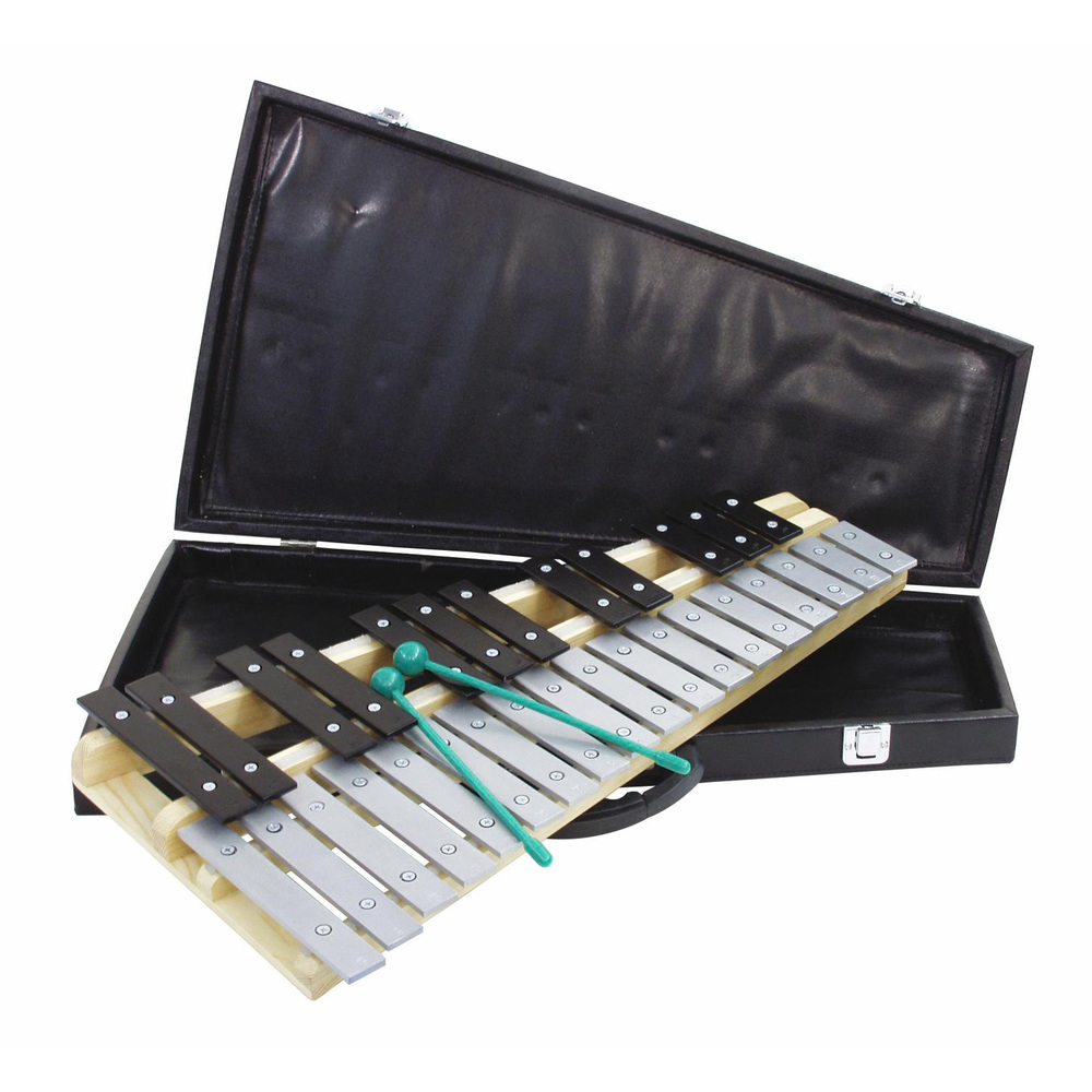 DIMAVERY METALLOPHONE WITH CASE