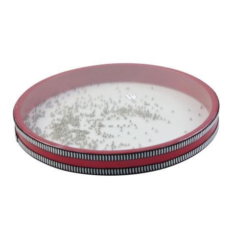 DIMAVERY OCEAN DRUM SMALL