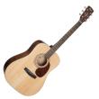 CORT ACOUSTIC GUITAR EARTH 60 PACK OP DREADNOUGHT