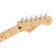 FENDER ELECTRIC GUITAR  LTD PLAYER STRAT MN LAKE PL. BLUE