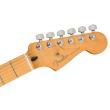 FENDER ELECTRIC GUITAR PLAYER PLUS STRAT MN TQS