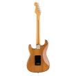 FENDER AMERICAN PRO II STRATOCASTER MN ROASTED PINE / RW