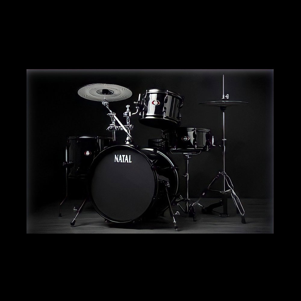 NATAL NATAL DNA STEALTH PRACTICE DRUM SET