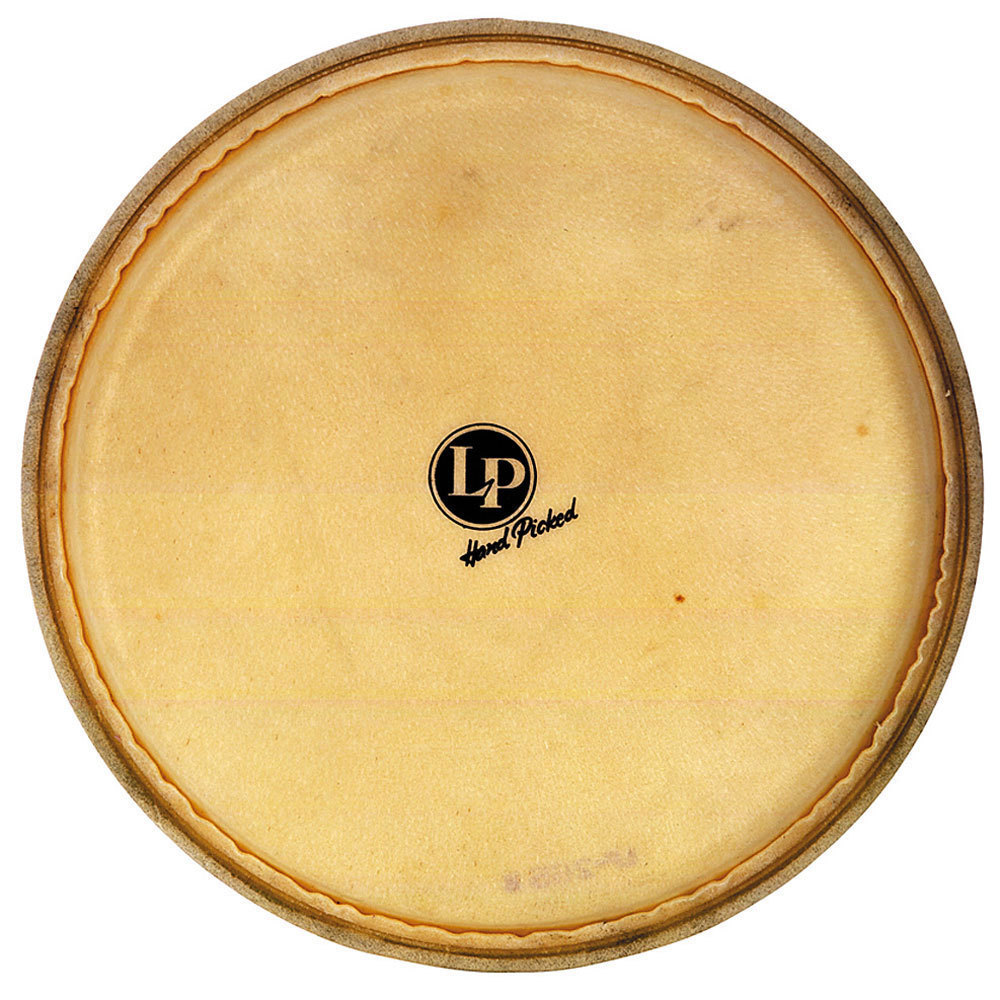 LATIN PERCUSSION 14'' GALAXY DJEMBE REPL. HEAD