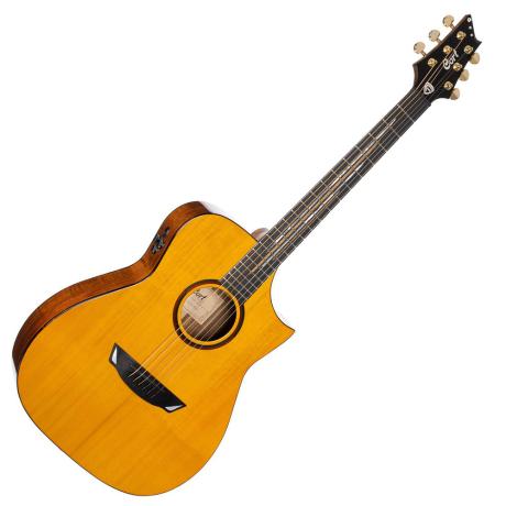 CORT ELECTRACUSTIC GUITAR FRANK GAMBALE SIGNATURE