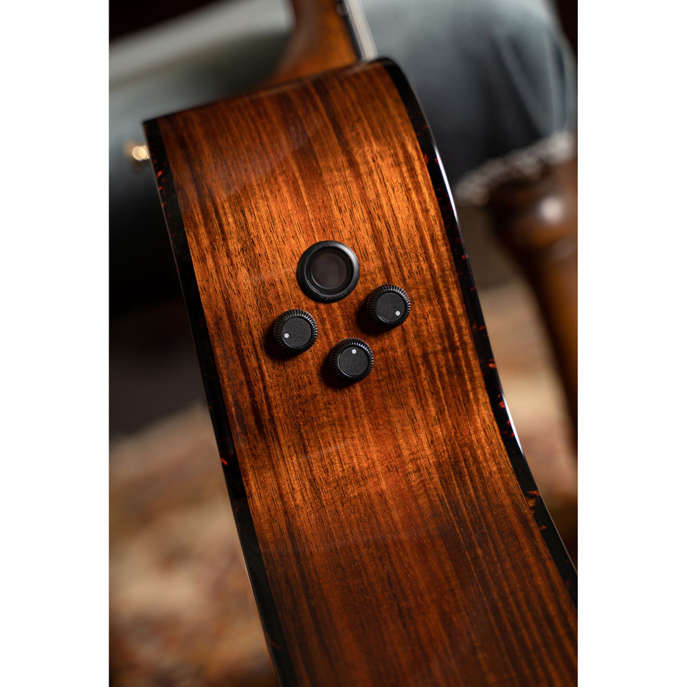 CORT ELECTROCLASSIS GUITAR FRANK GAMBALE SIGNATURE