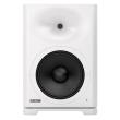 GENELEC ACTIVE SPEAKER 10'' 250W + 100W