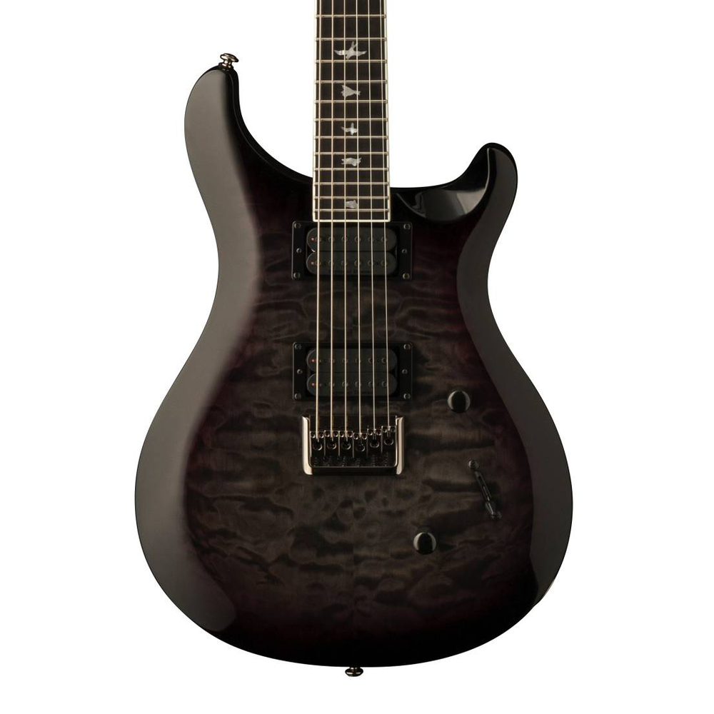 PRS GUITARS ELECTRIC GUITAR 2018 SE MARK HOLCOMB BURST