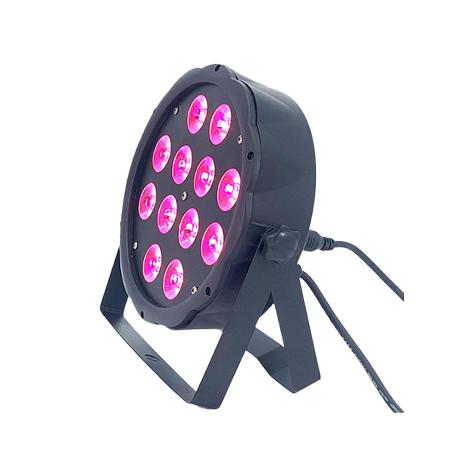 PLS LED MINI PAR BLACK 12x12W-RGBW F/C