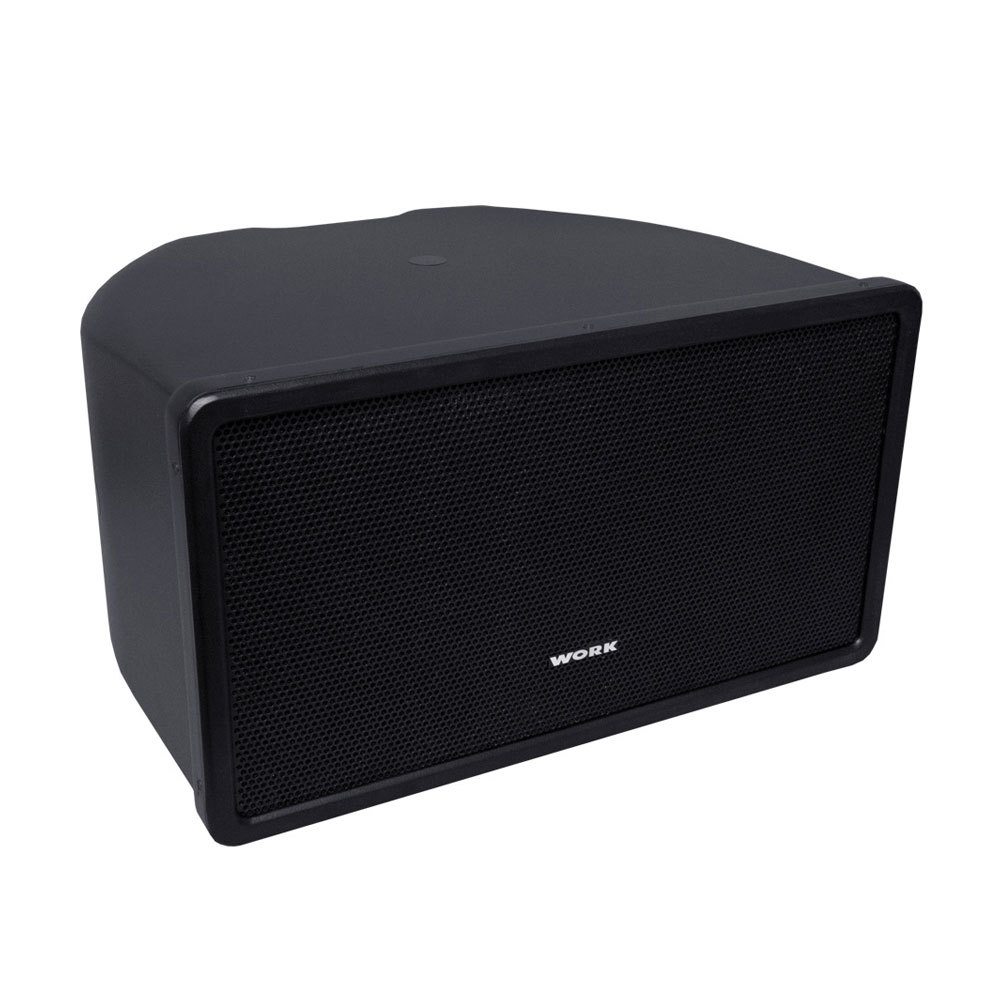 WORK FULL RANGE SPEAKER, 10'' WOOFER & 1'' DRIVER