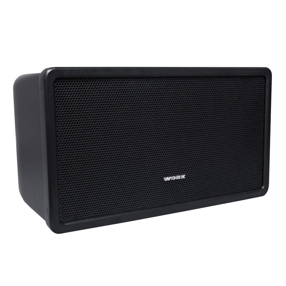 WORK FULL RANGE SPEAKER, 10'' WOOFER & 1'' DRIVER